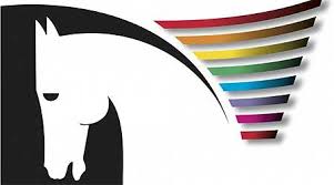 Cheval Passion Avignon