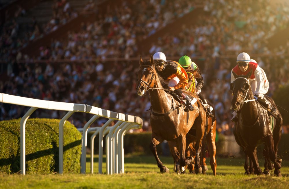 chevaux de course