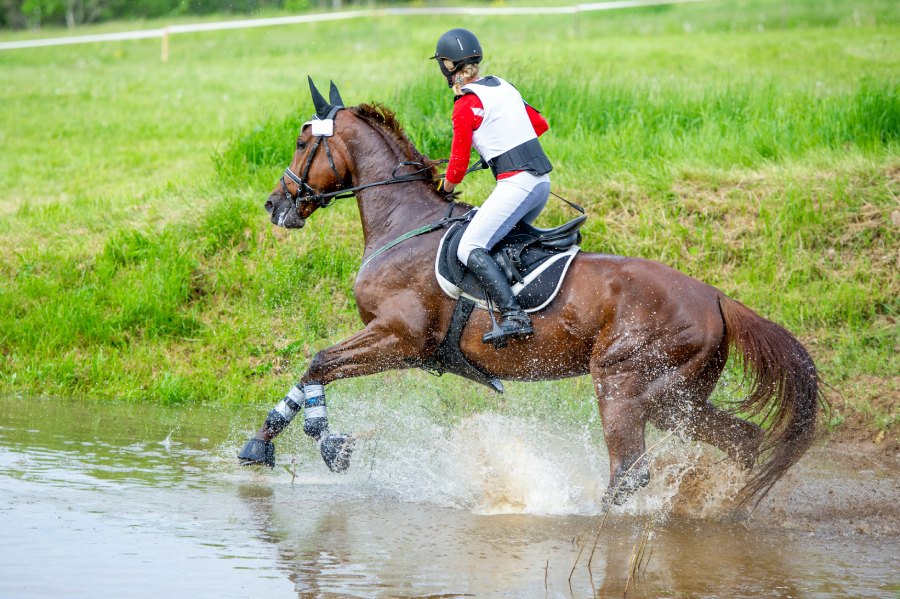 Compétition CCE cross 2025
