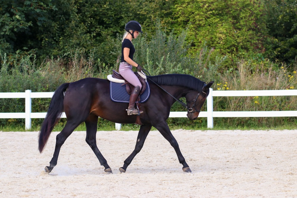 Coach d'équitation à domicile