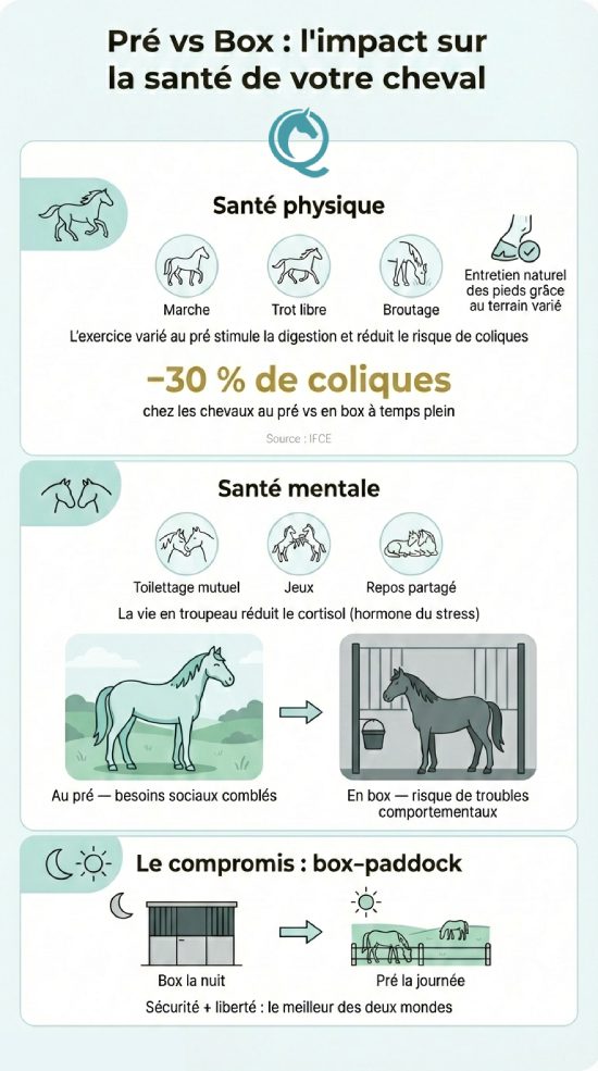infographie de comparaison hébergement box ou pré cheval