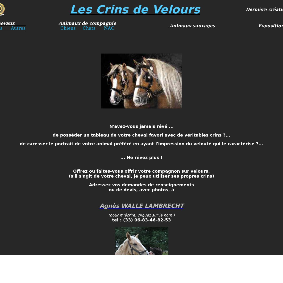 Capture d'écran