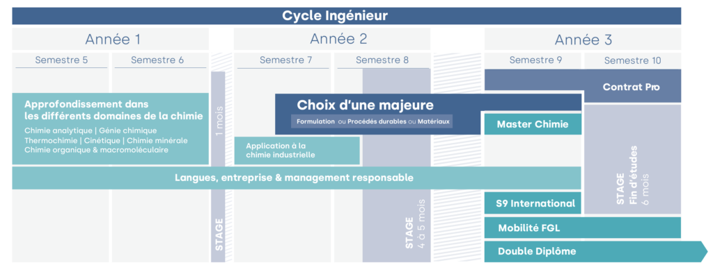 Schéma des études ENSCL