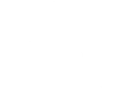 RHINOV