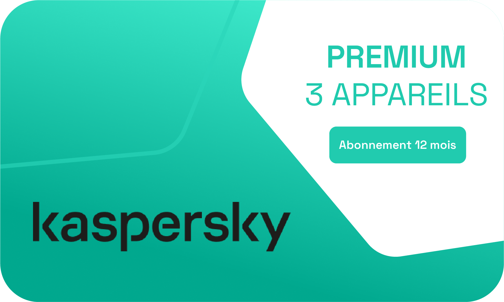 Kaspersky Premium 12 mois