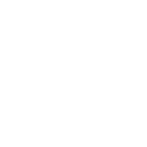 VO2Fast
