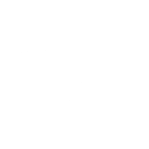 HOLY OWLY
