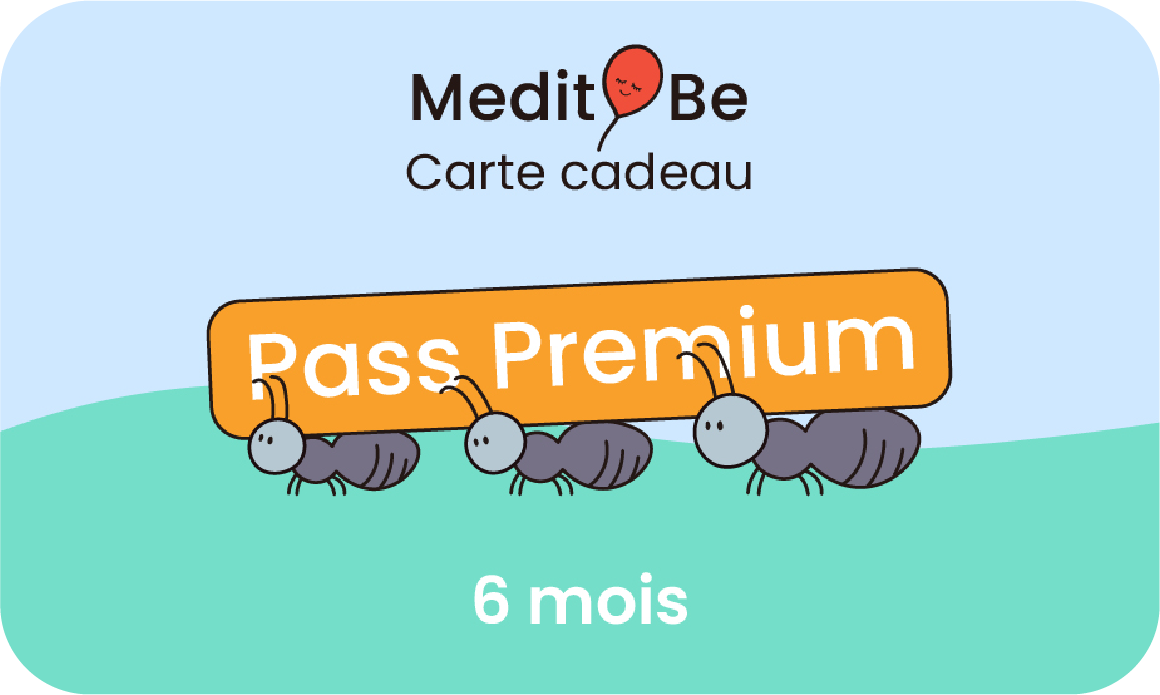 Pass Premium 6 mois