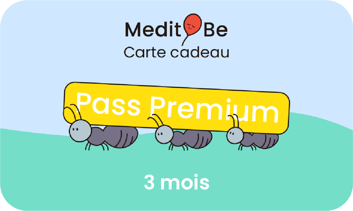 Pass Premium 3 mois