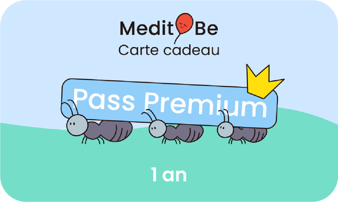 Pass Premium 1 an