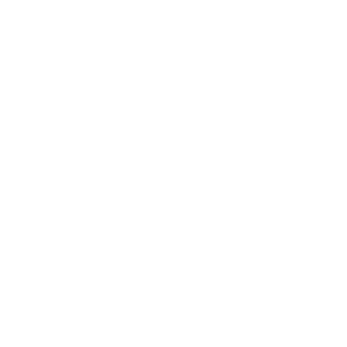 STEAM