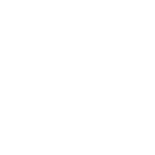 MEDICI.TV