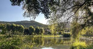 image représentatice de la chanson Ma Saintonge