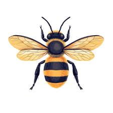 image représentatice de la chanson L'abeille