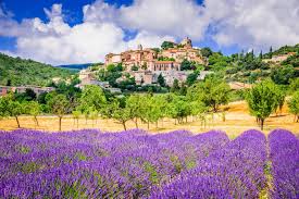 image représentatice de la chanson Adieux à la Provence