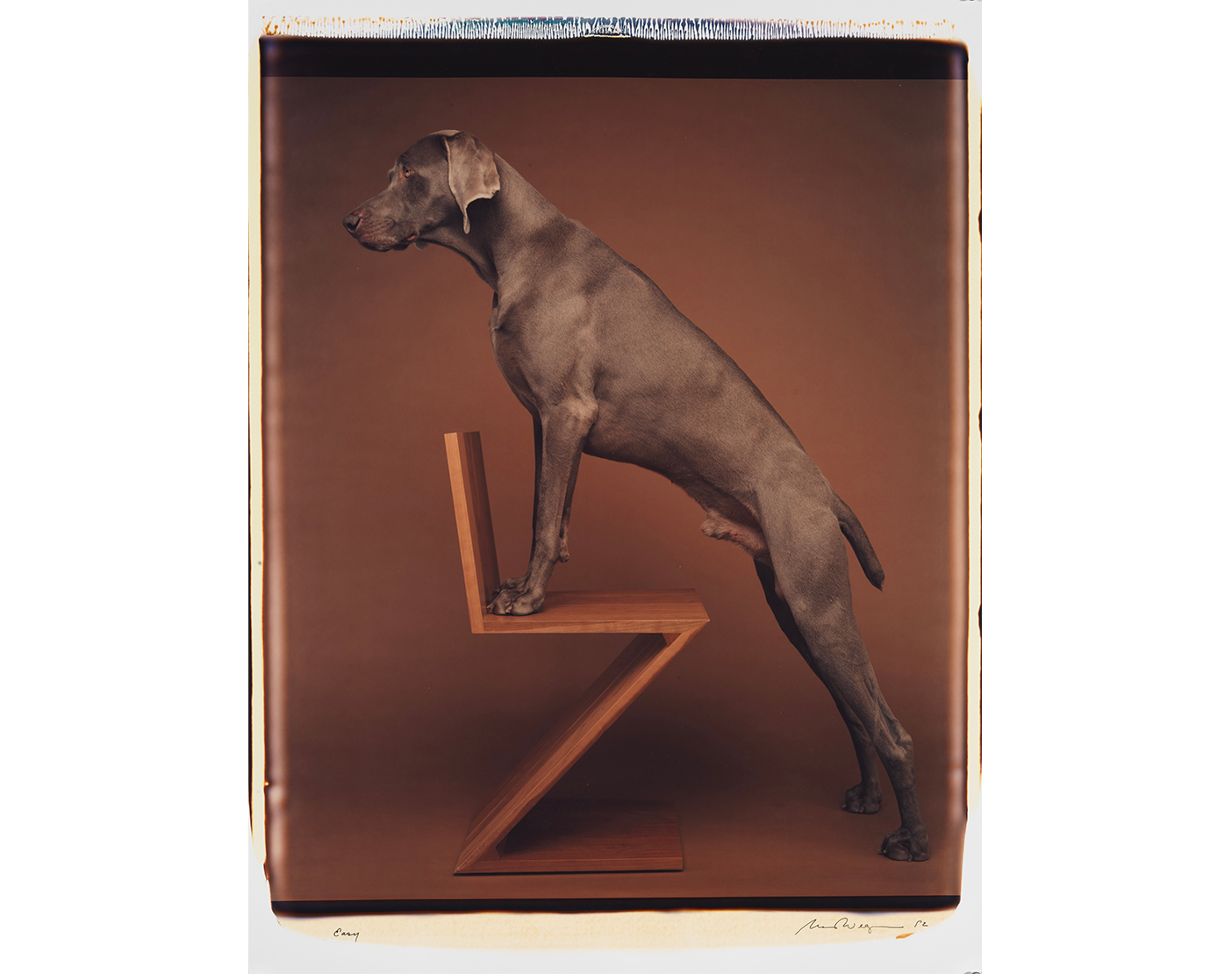 William Wegman (n&eacute; en 1934) Easy, 1992