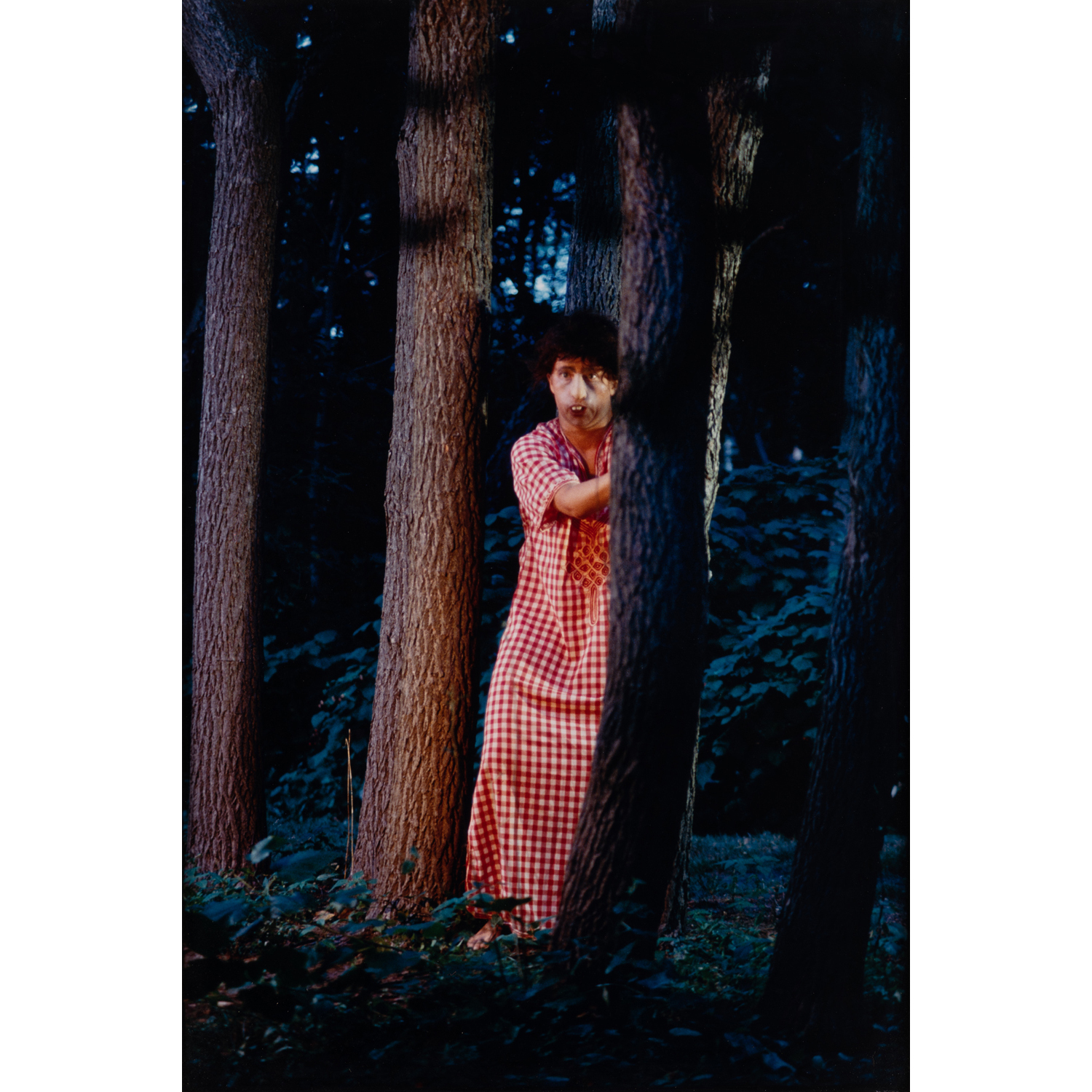 Cindy Sherman (born 1954) Untitled #165, 1986 | Piasa