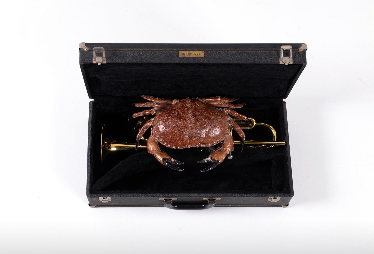 Présence Panchounette (Pierre Cocrelle, Frédéric Roux, Jean-Yves Gros, Jacques Soulillou) (1969-1990) Trompette sous un crabe, 1988 Mixed media, plastic crab, trumpet in a case and copper plaque Case : 16,5 x 55 x 27,5 cm (closed)