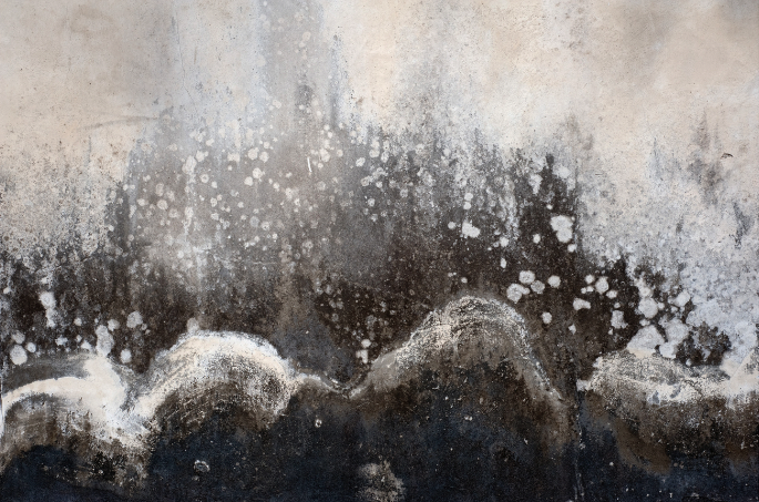 Claire de Virieu (née en 1948) «NARA II – 1», 2010 Epreuve 1/5 Tirage limité à 5 exemplaires Jet d’encre pigmentaire sur papier Hahnemühle Titré, signé, daté et numéroté au dos 76,5 ×107 cm (avec cadre) 53 × 73 cm (hors cadre)