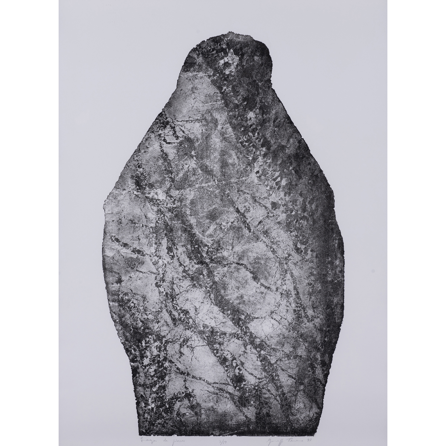 Giuseppe Penone (n&eacute; en 1947) Images de Pierres - 1993