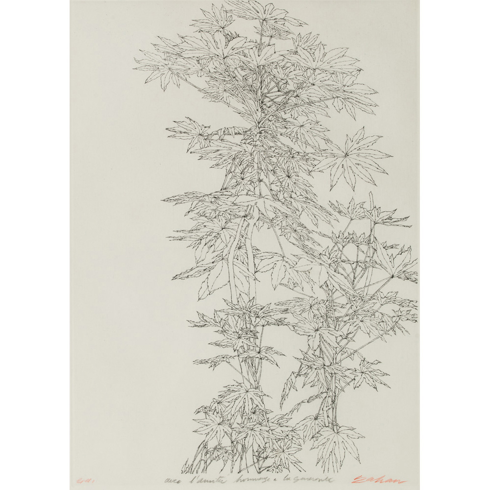 Sam Szafran (né en 1934) Feuillage - 1970