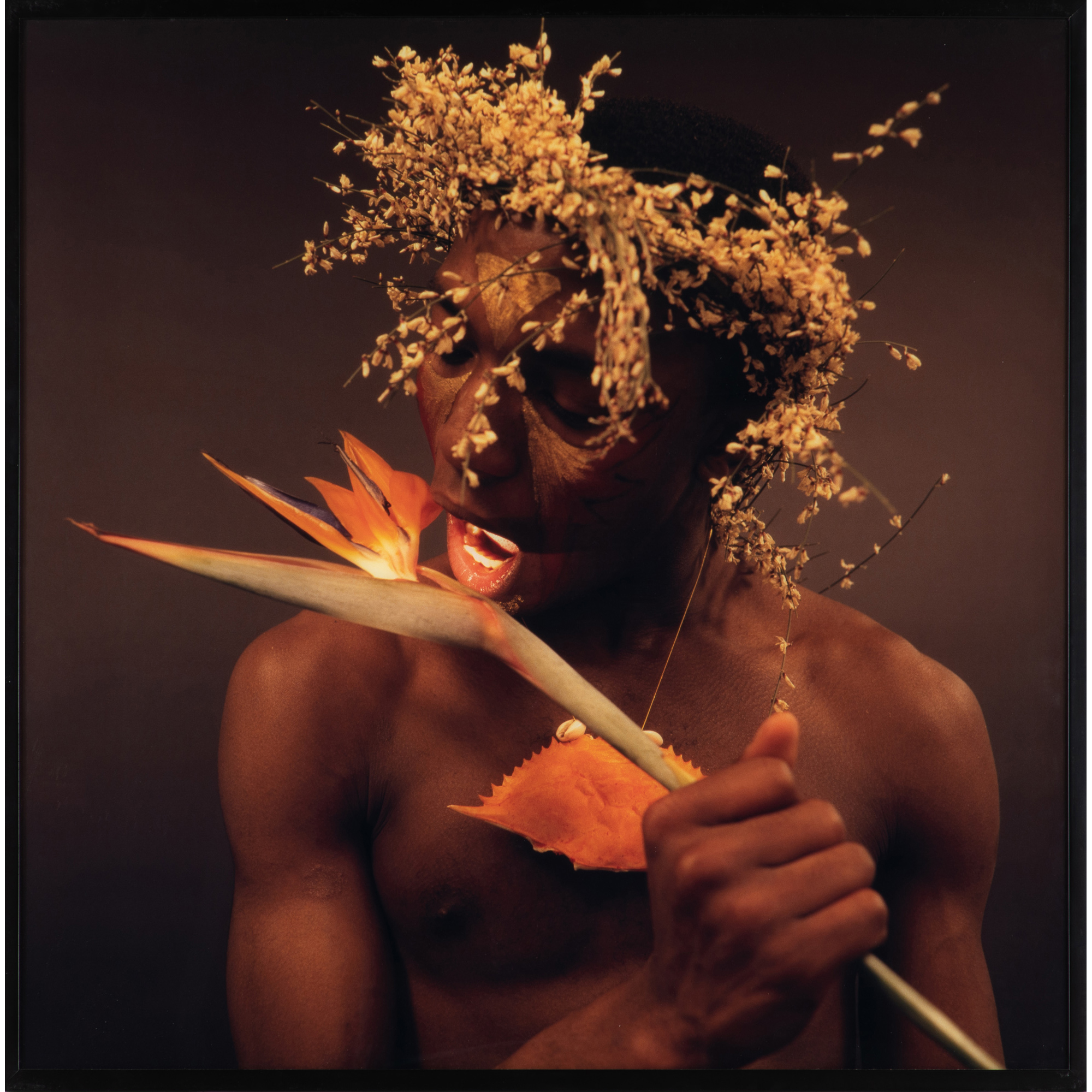 Rotimi Fani-Kayode (1955-1989, Lagos) Untitled