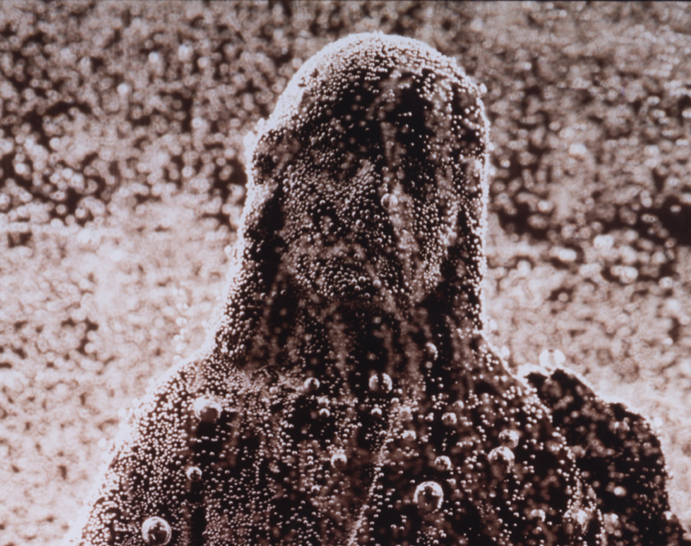 Andres Serrano and Christ | Piasa