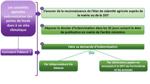 schema-resume-calamites-agricoles