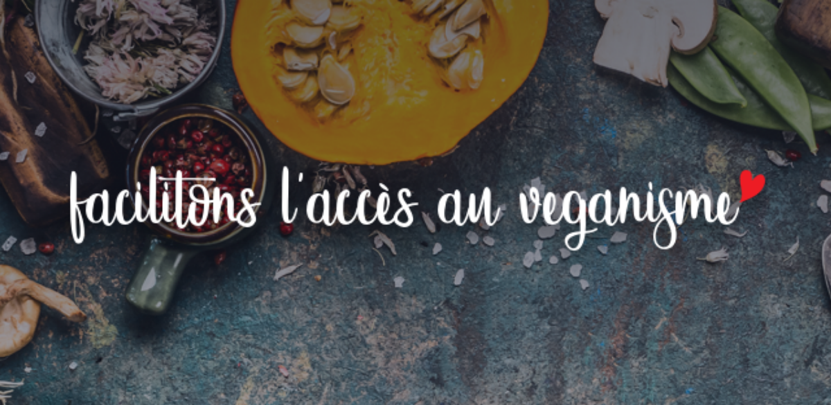 illustration project Le Club V