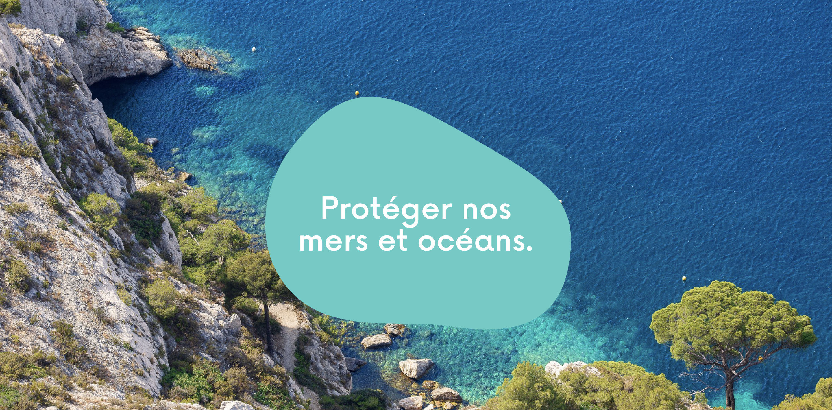 illustration post Comment protéger nos mers et nos océans ?