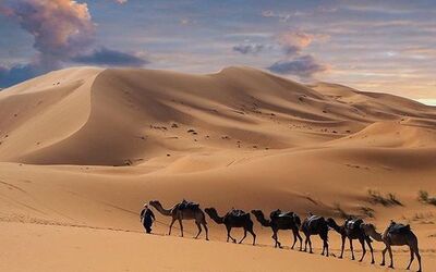 Image du projet Séjour au Sahara