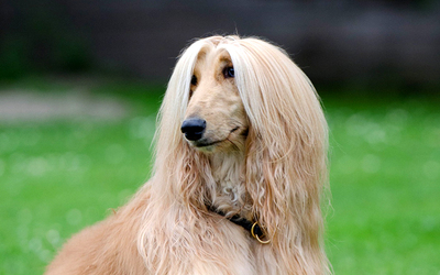 Image du projet Projet Assets