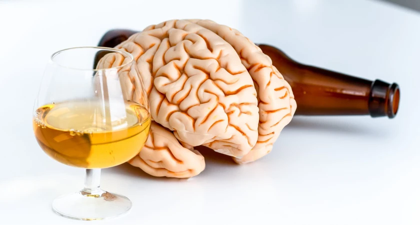 Verre de whisky à côté d'un modèle de cerveau et d'une bouteille, sur fond blanc.