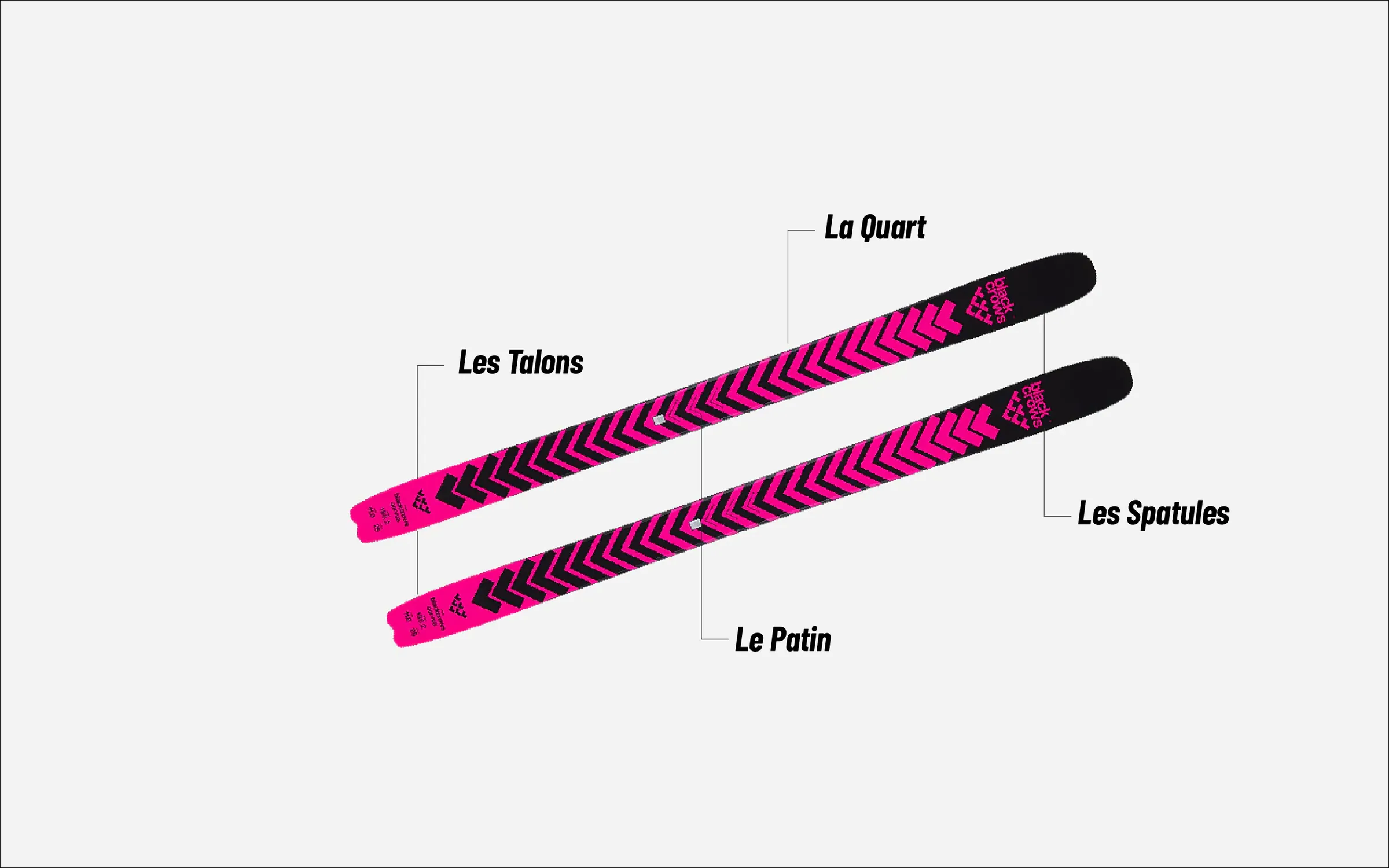 Diagram of a ski: tip, waist and tail
