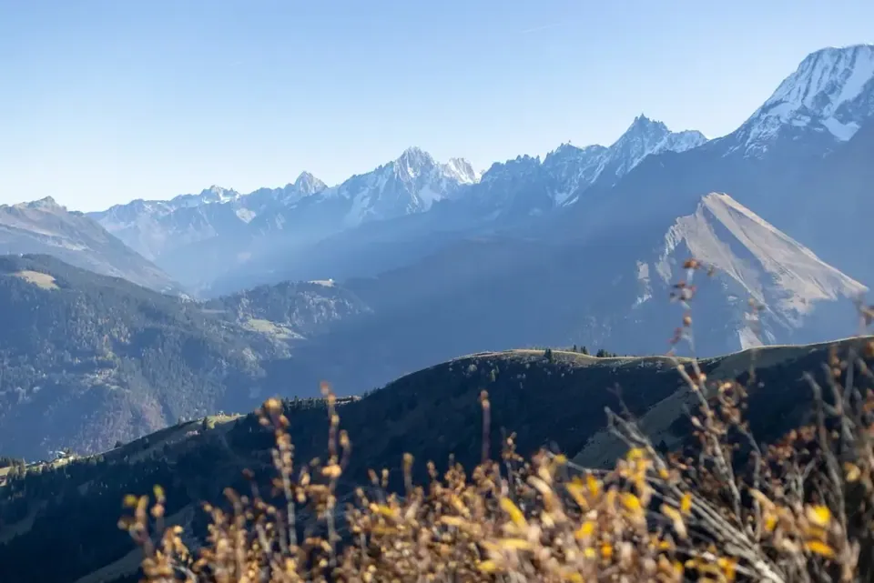 Discover the ecosystems of our mountains – photo 3