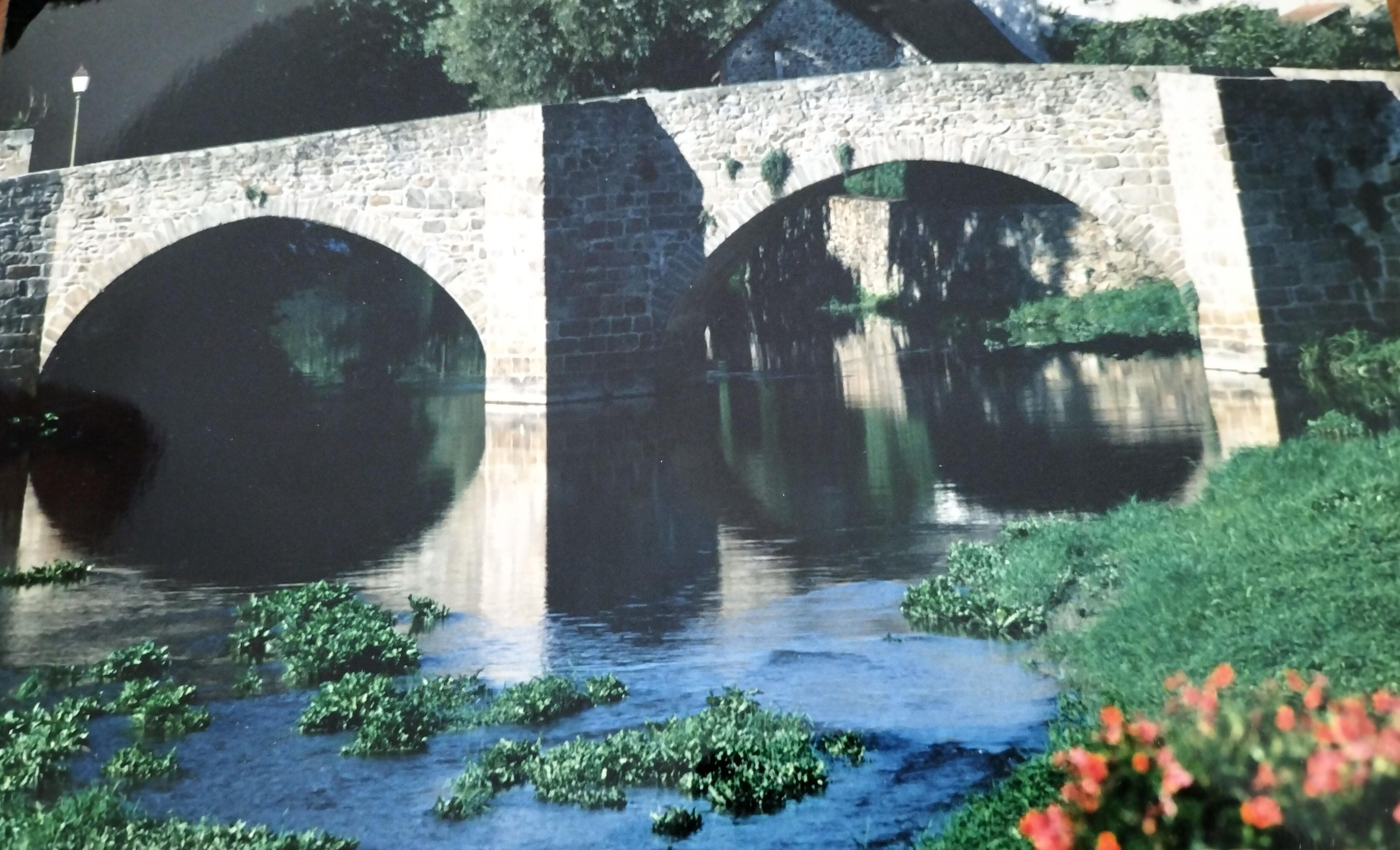 23170 Chambon le pont.jpg