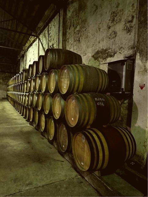 Offre R-T6RD9I — 225 Litres Vin Oxydatif