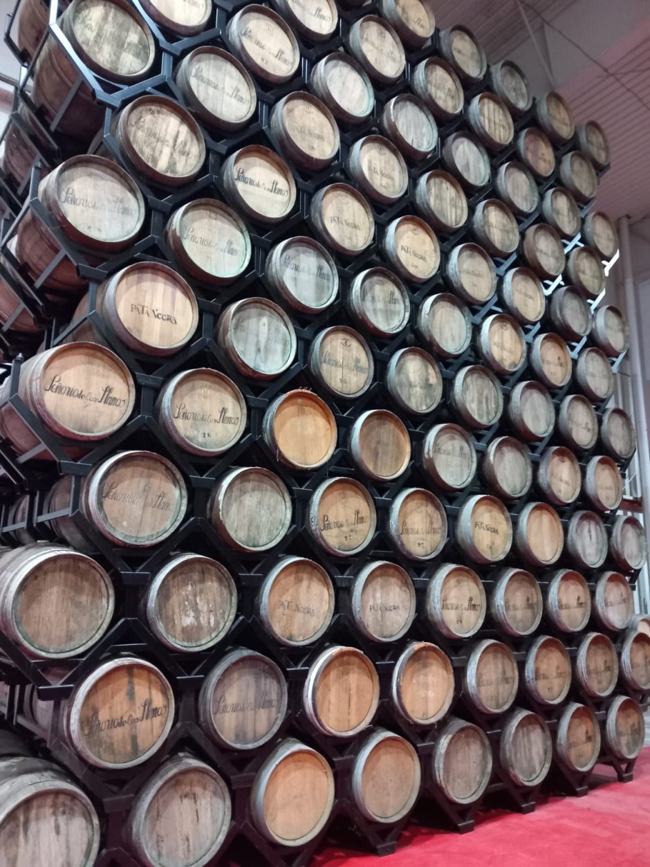 Offre R-BULA6G — 225 Litres Vin Rouge