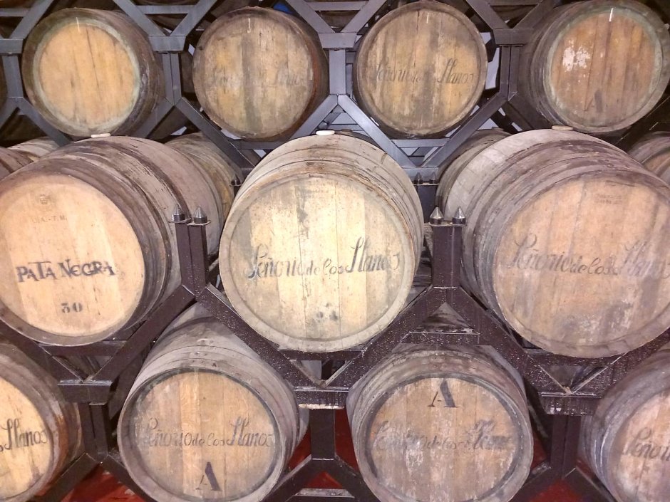 Offre R-BULA6G — 225 Litres Vin Rouge