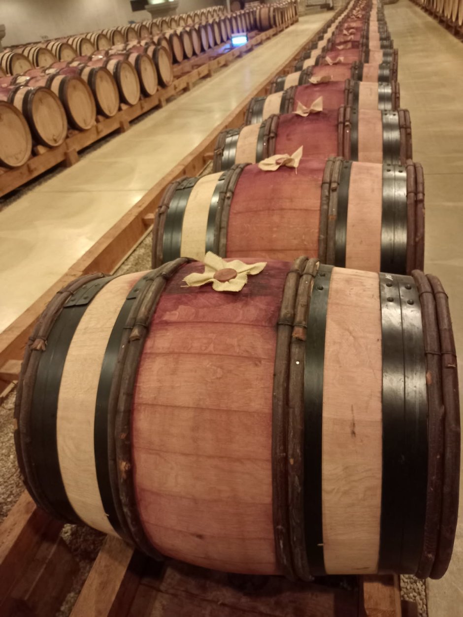 Offre R-D58NX3 — 228 Litres Vin Rouge