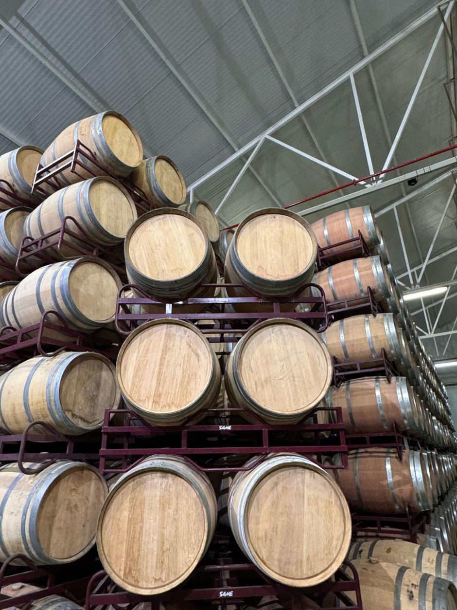 Offre R-5RSLBN — 225 Litres Vin Rouge