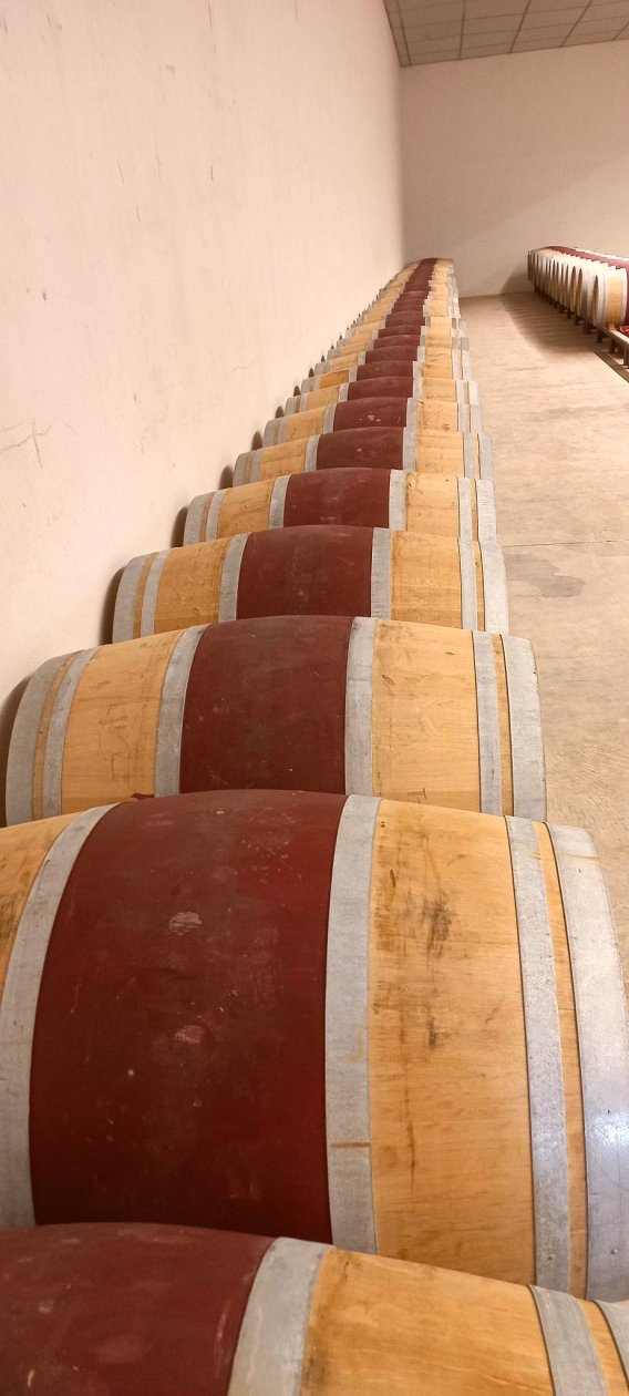 Offre R-LIIDG9 — 225 Litres Vin Rouge