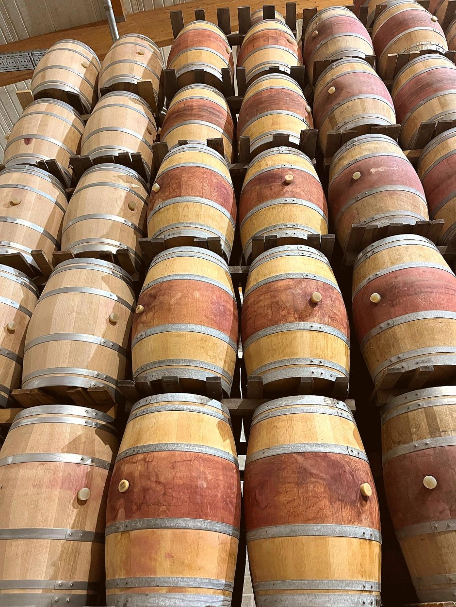 Offre R-W35MU5 — 225 Litres Vin Rouge
