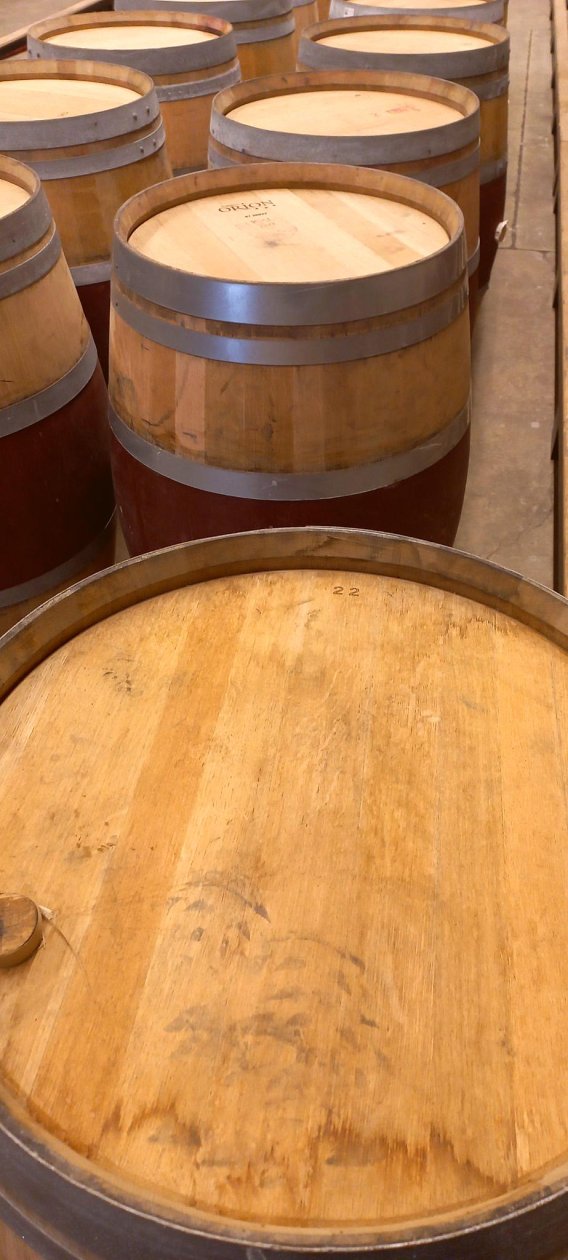 Offre R-FL46DW — 225 Litres Vin Rouge