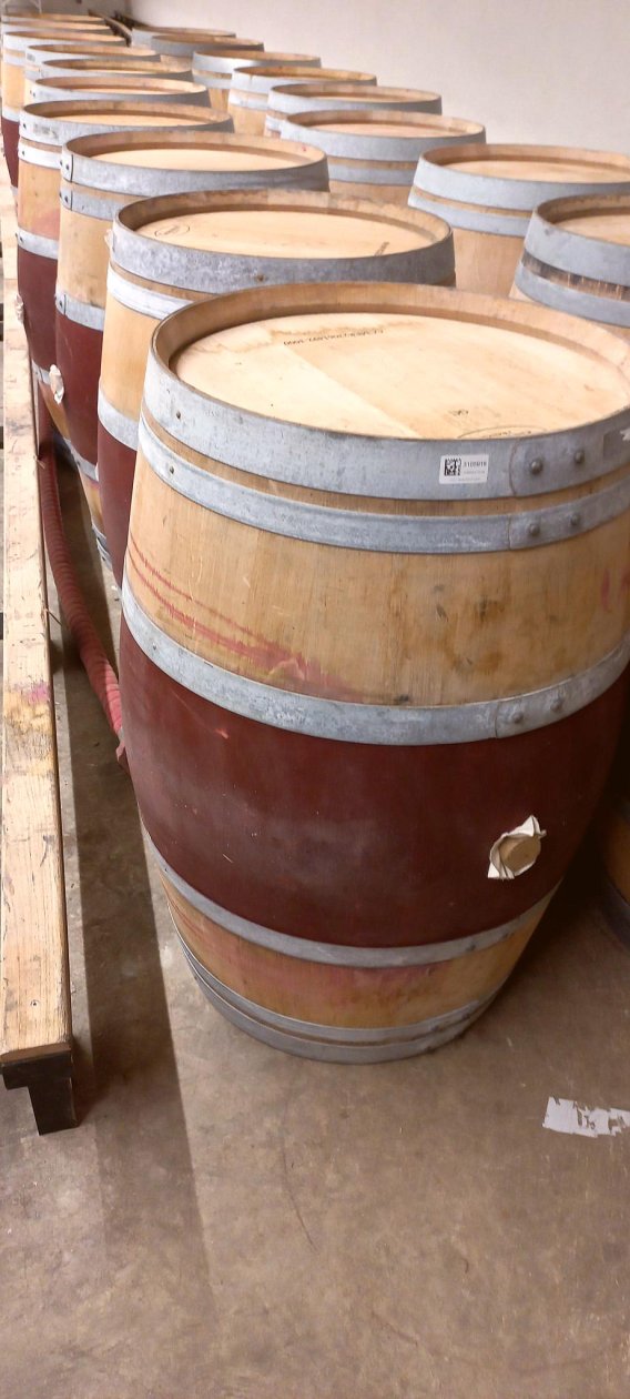 Offre R-FL46DW — 225 Litres Vin Rouge