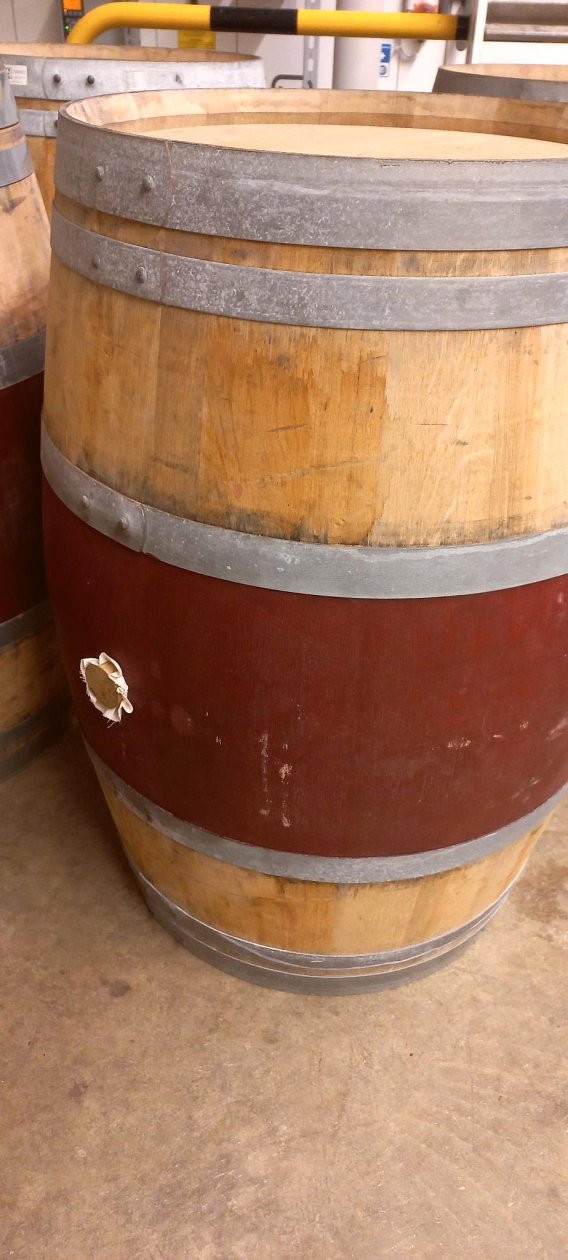 Offre R-FL46DW — 225 Litres Vin Rouge