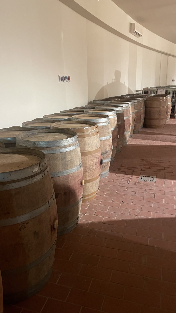 Offre R-G3GGEH — 225 Litres Vin Rouge