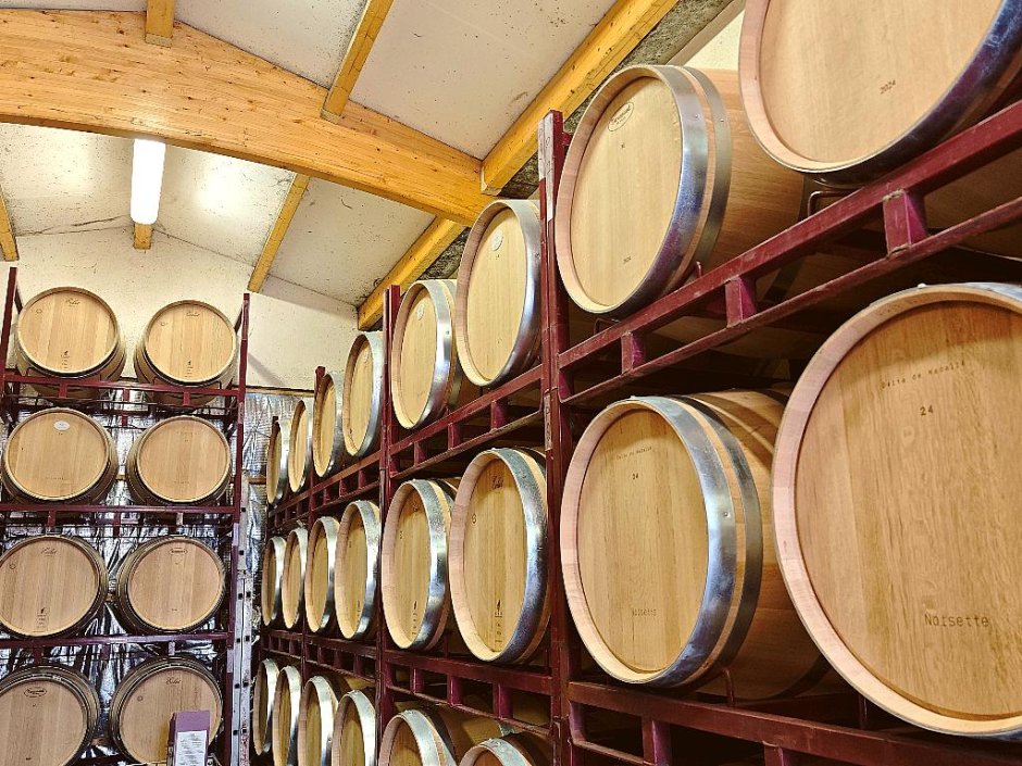 Offre R-Z3M6MC — 225 Litres Vin Rouge
