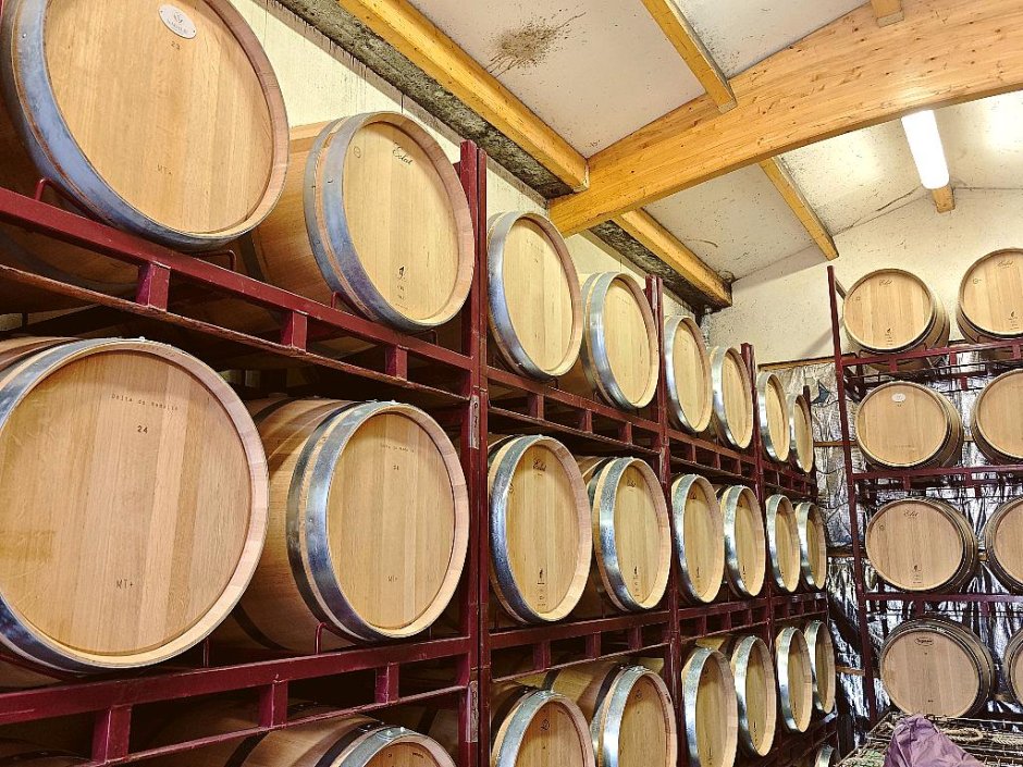 Offre R-Z3M6MC — 225 Litres Vin Rouge