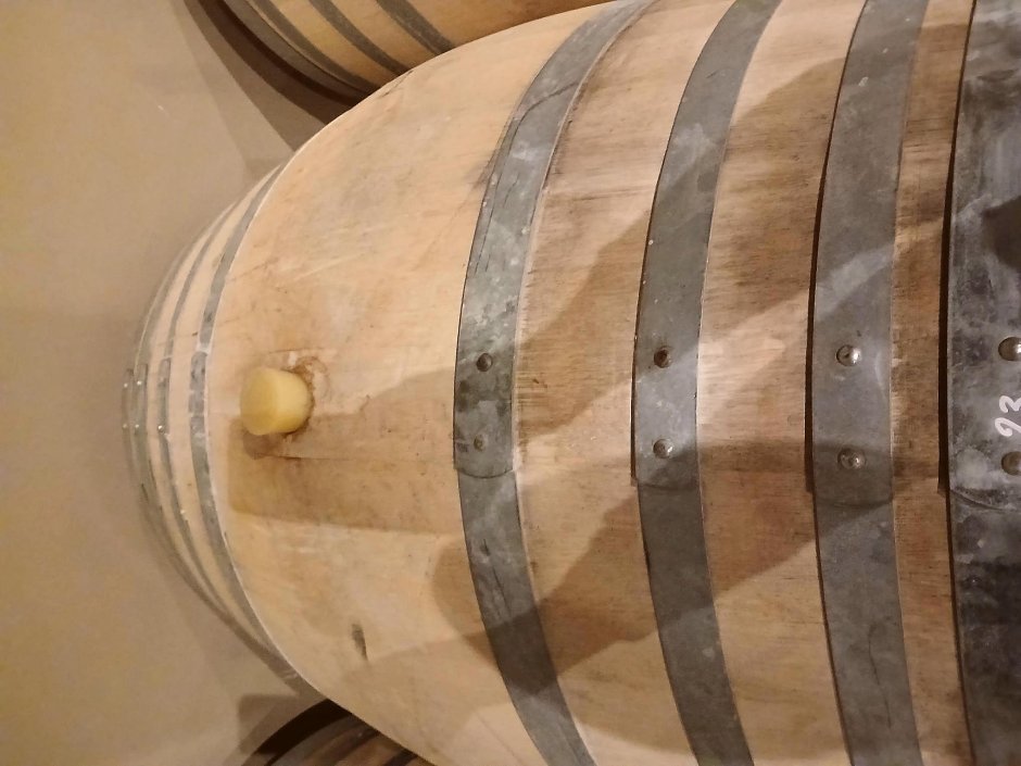 Offre R-DQMHG1 — 500 Litres Vin Blanc